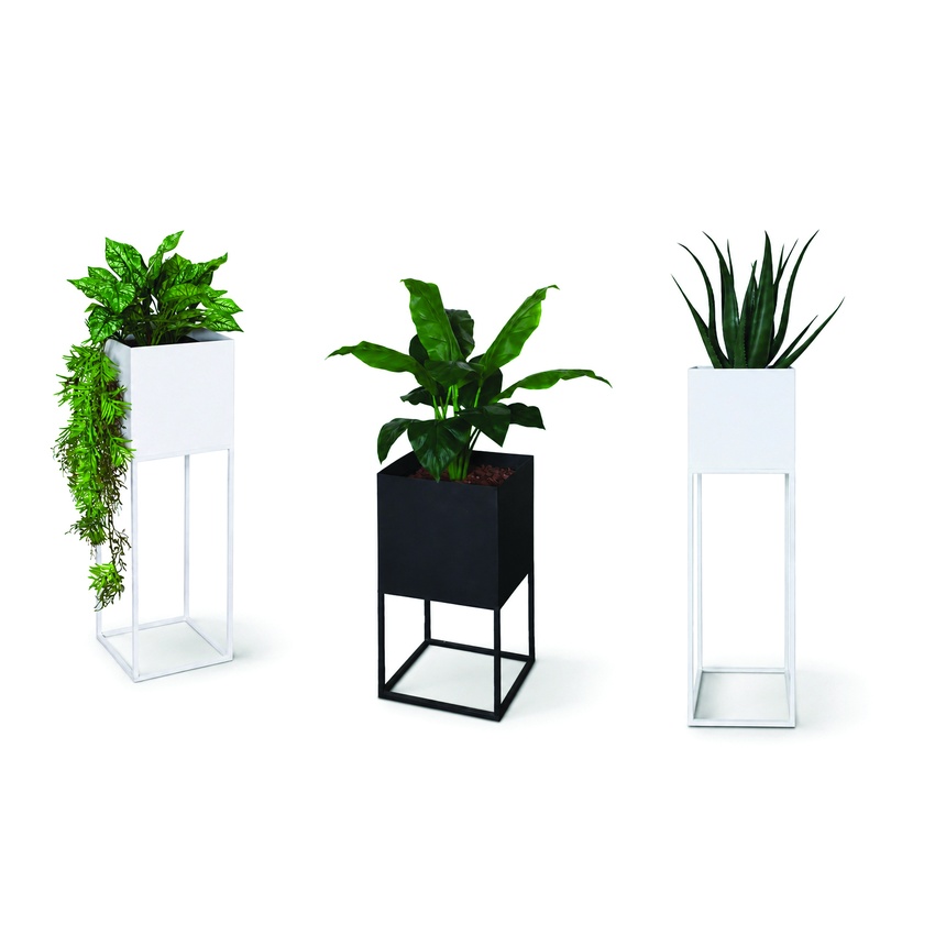 Alternative view of Potted Plants